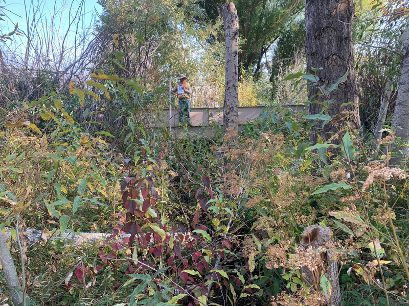 Site Photo 14
